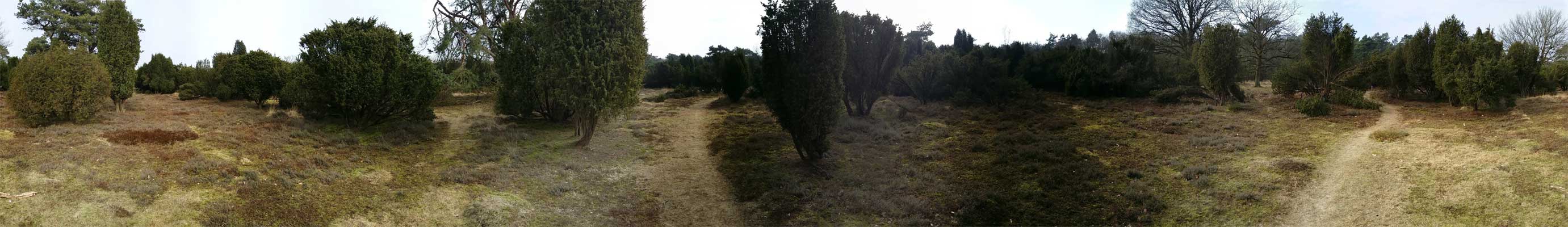 Panorama De Palms – voetzoekers Panorama-De-Palms-voetzoekers