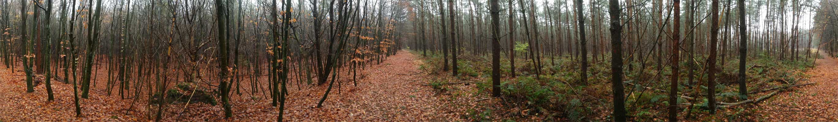 Panorama witte route Landgoed Boschoord – voetzoekers Panorama-Witte-route-Landgoed-Boschoord-voetzoekers