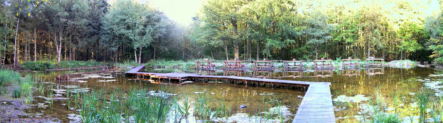 Waterloopbos – Havenroute panorama – voetzoekers Waterloopbos-Havenroute-panorama-voetzoekers