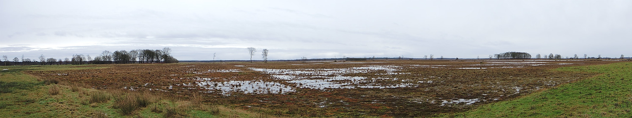 Familiepad Noordenveld – Panorama 2 – voetzoekers familiepad-noordenveld-panorama-2-voetzoekers