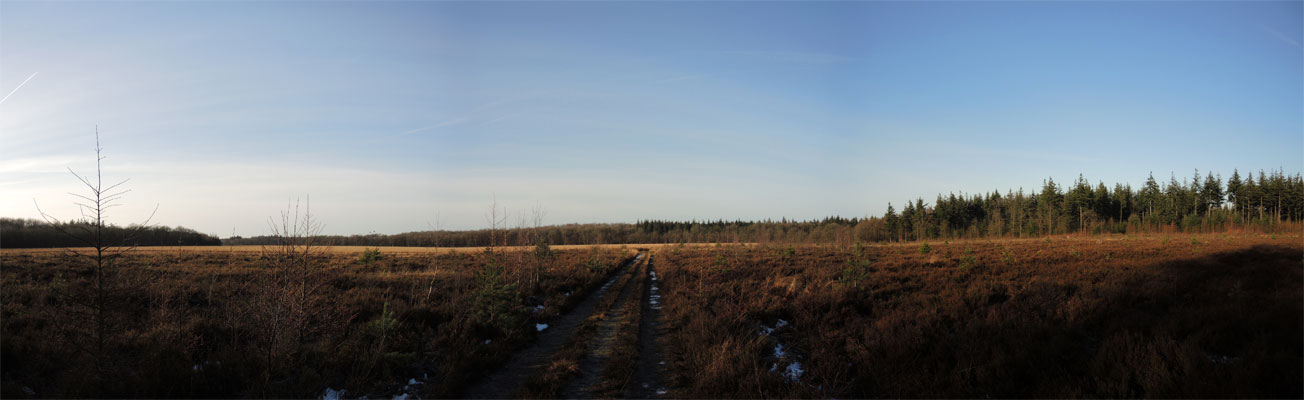 Halkenpad Boswachterij Grolloo panorama voetzoekers halkenpad-boswachterij-grolloo-panorama-voetzoekers