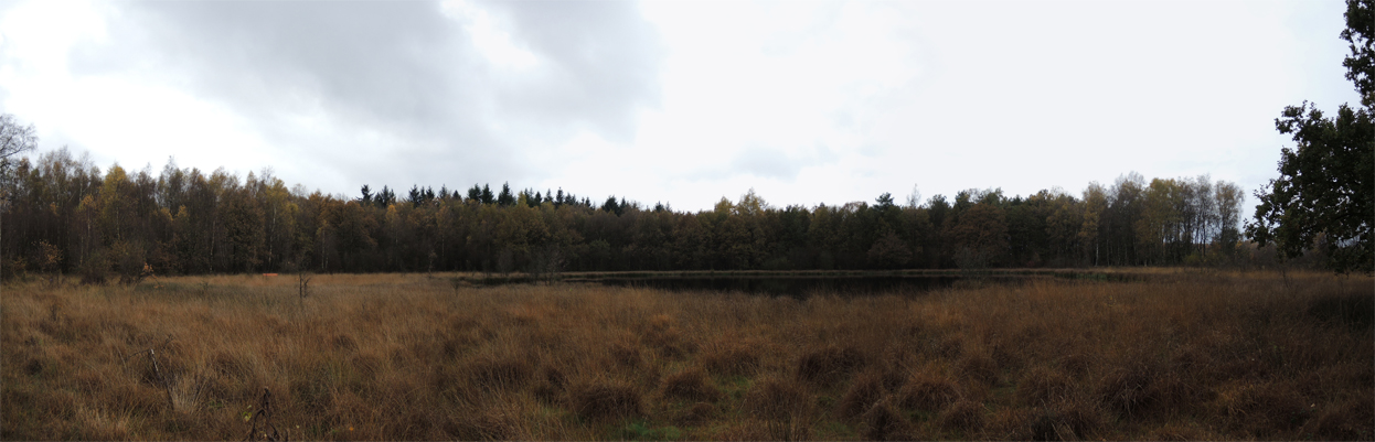 Landgoed Vossenberg – Panorama ven 2 – voetzoekers.vr landgoed-vossenberg-panorama-ven-2-voetzoekers.vr