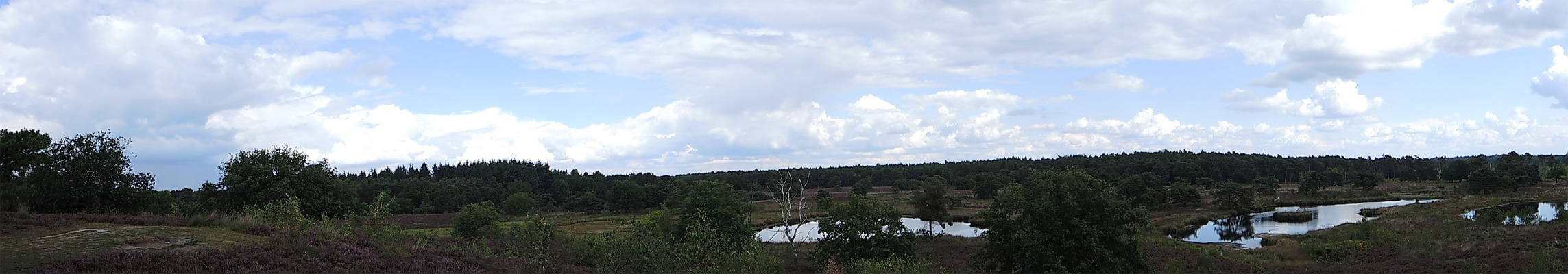 Rivierduinenroute – Panorama – voetzoekers rivierduinenroute-panorama-voetzoekers
