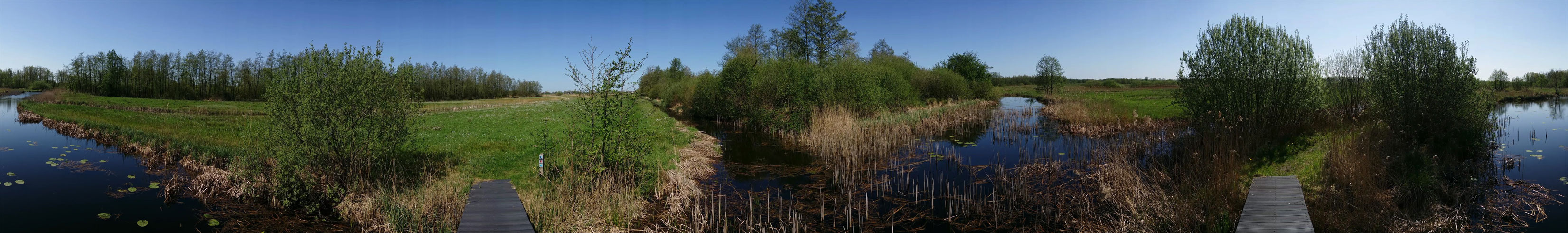 Veenweidewandeling – Panorama – voetzoekers veenweidewandeling-panorama-voetzoekers