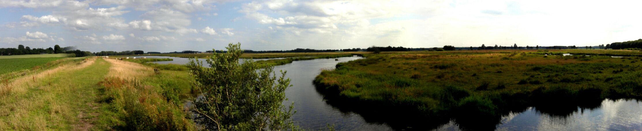 voetzoekers – Annermoeras – Panorama voetzoekers-annermoeras-panorama