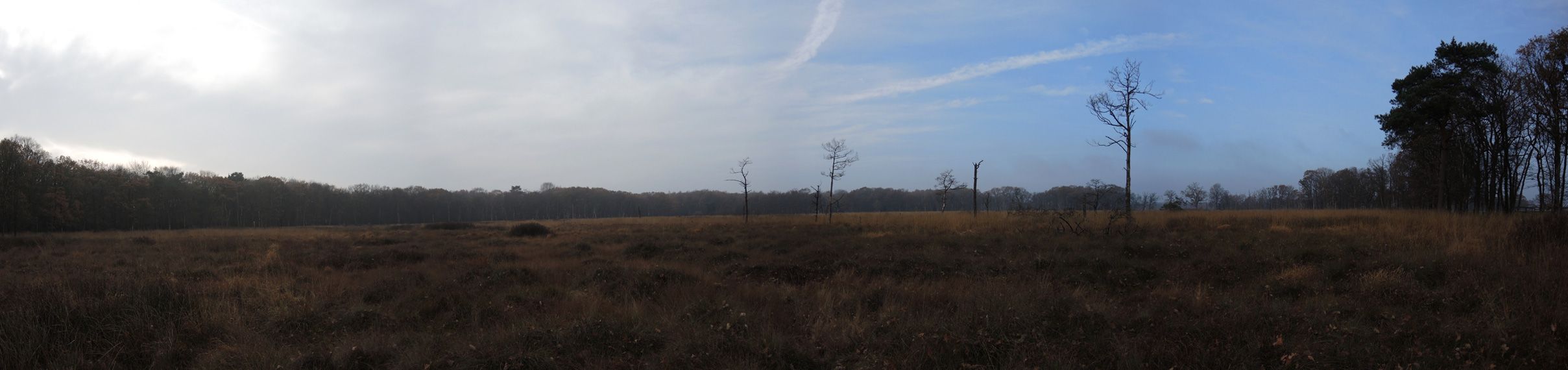 voetzoekers – Appelbergen – Panorama voetzoekers-appelbergen-panorama