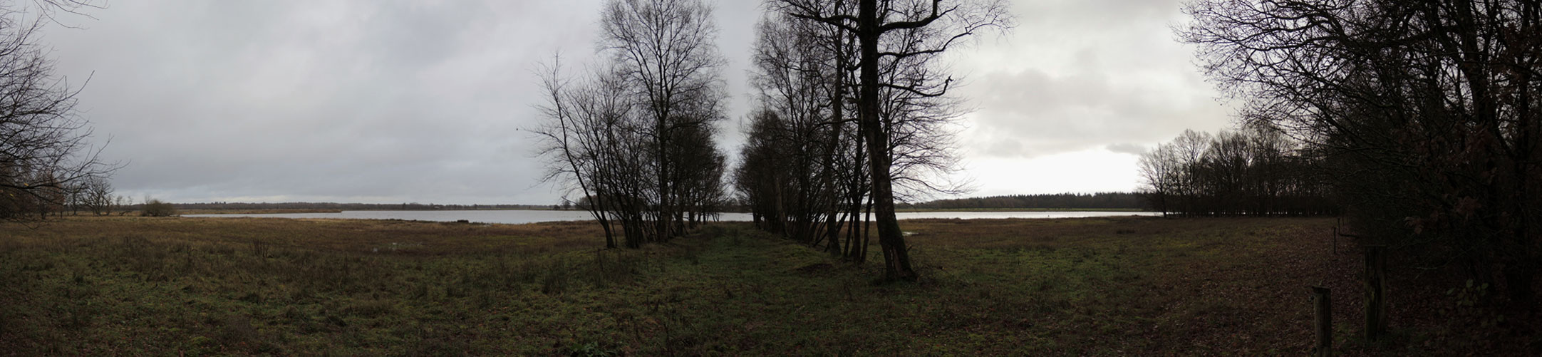voetzoekers – Boswachterij Gees – Rode route – Panorama Mepper Hooilanden voetzoekers-boswachterij-gees-rode-route-panorama-mepper-hooilanden