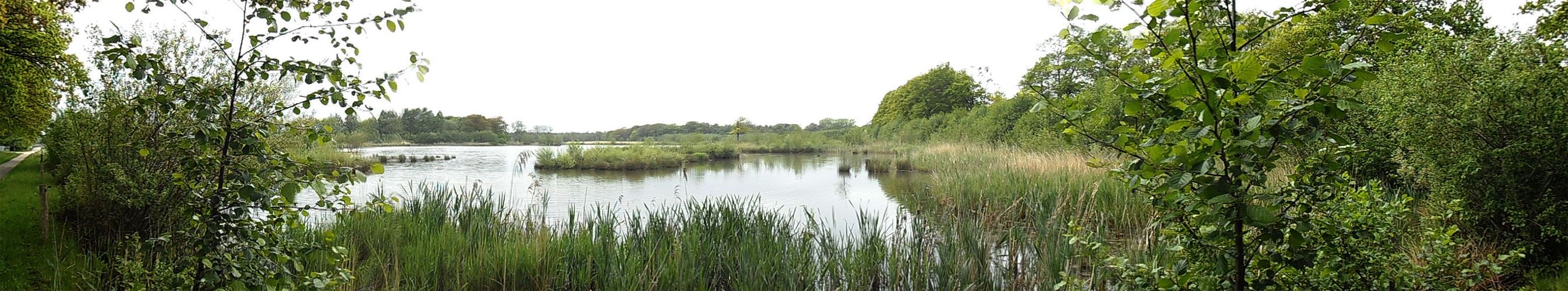 voetzoekers – Geeserstroom – Panorama retentiebekken voetzoekers-geeserstroom-panorama-retentiebekken