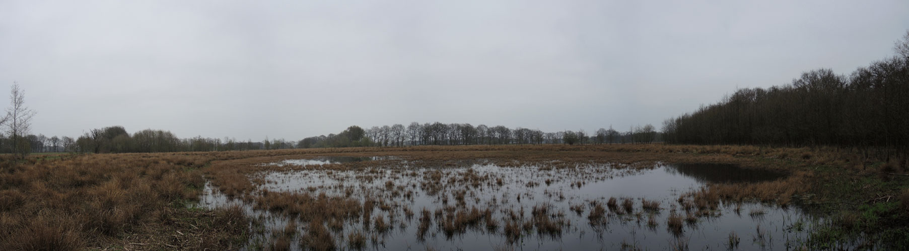 voetzoekers – Geeserstroom – Panorama ven voetzoekers-geeserstroom-panorama-ven
