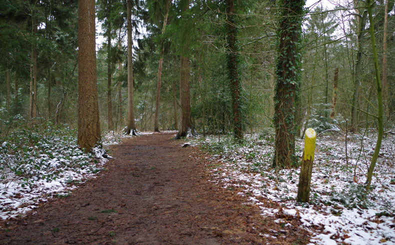 voetzoekers-noordbargerbos-noord-gele-markering