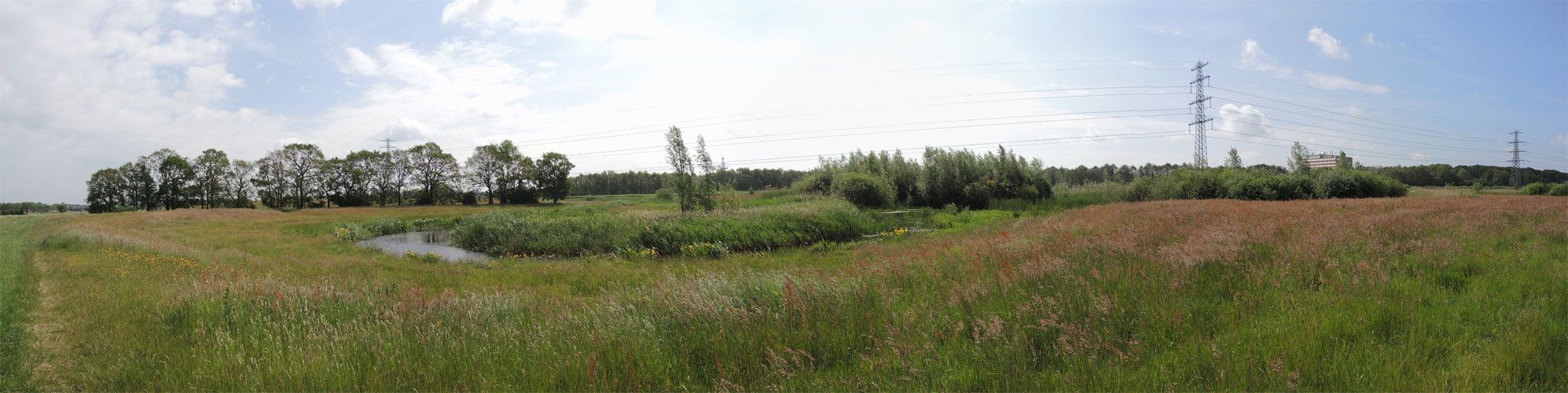voetzoekers – Oude Kene -Panorama voetzoekers-oude-kene-panorama