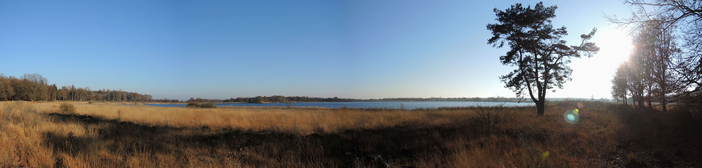 voetzoekers – Panorama – Esmeer voetzoekers-panorama-esmeer