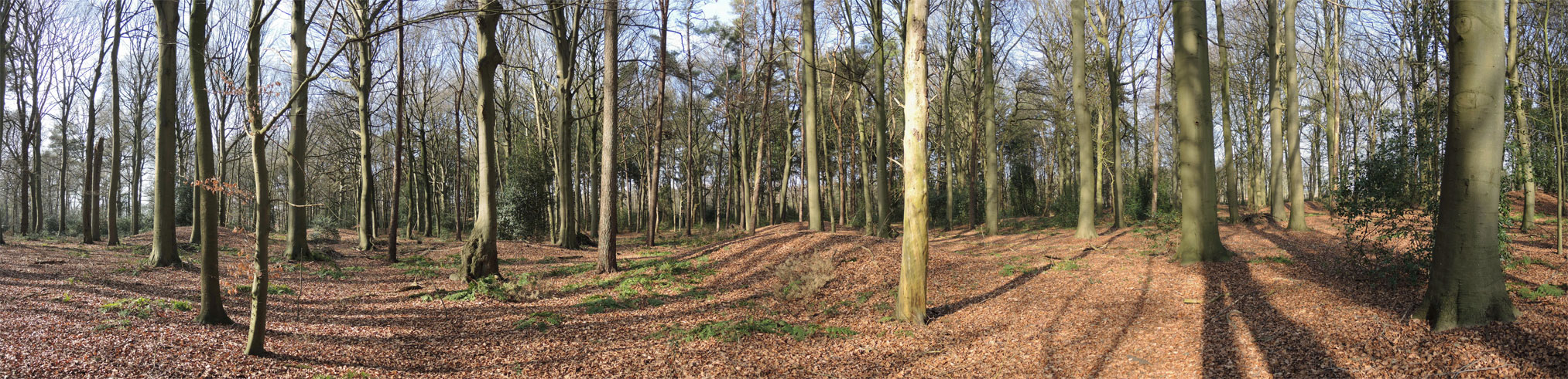 voetzoekers – Tumulibos – Panorama voetzoekers-tumulibos-panorama
