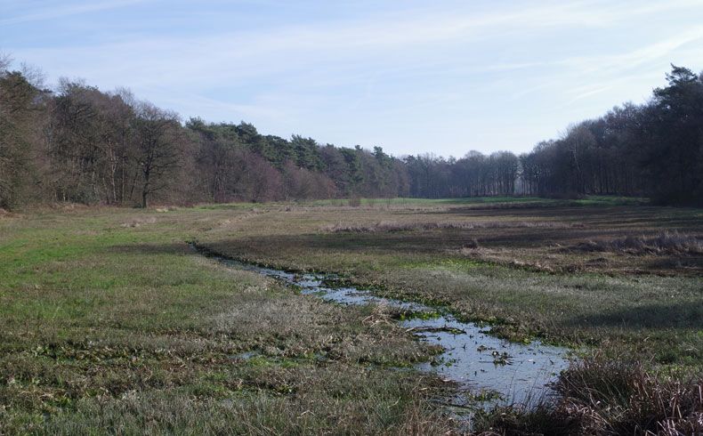 voetzoekers-kampsheide-stroet