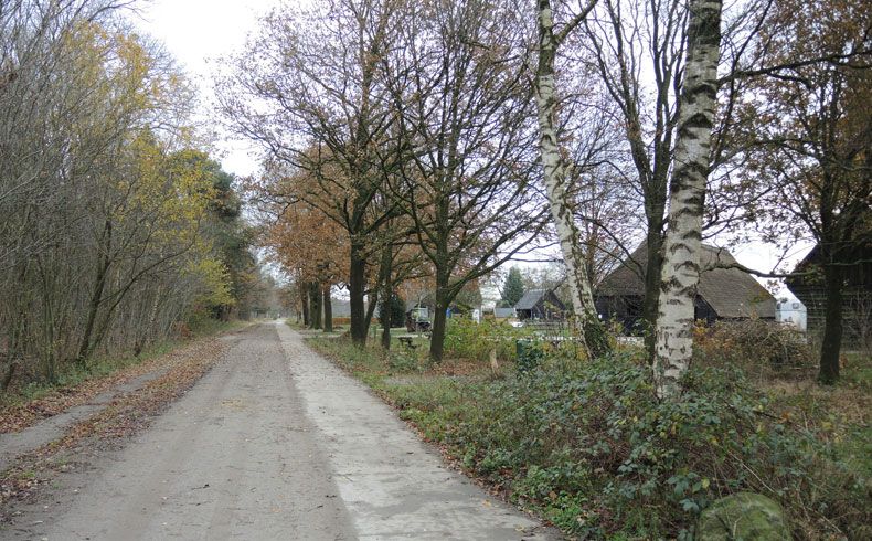 voetzoekers-schaapskooi-achter-t-zaand-pad-langs-schaapskooi